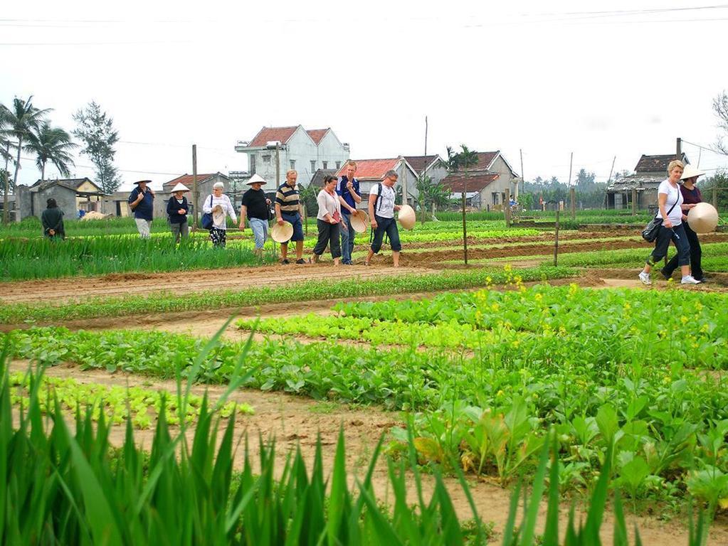 Green House Homestay Хоян Екстер'єр фото