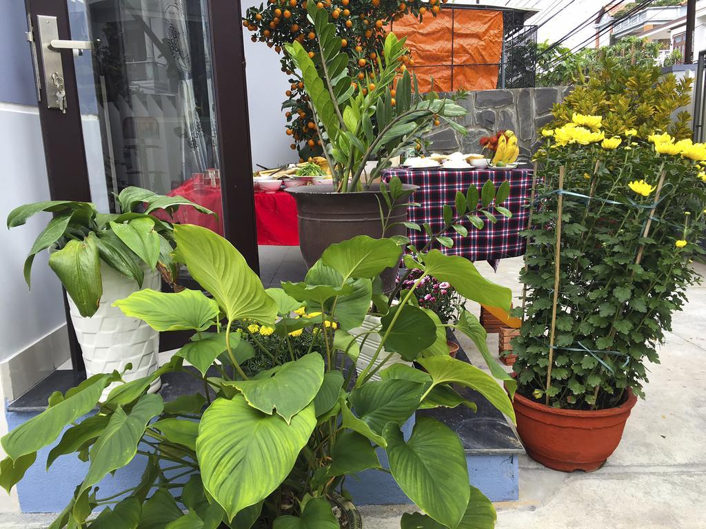 Green House Homestay Хоян Екстер'єр фото