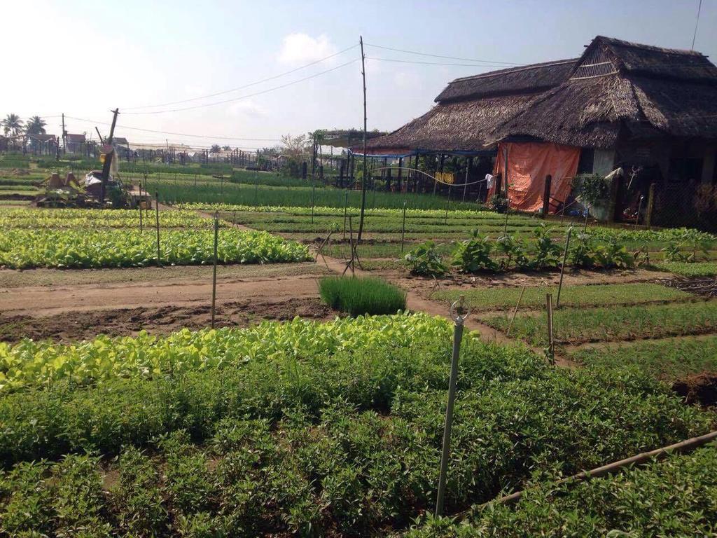 Green House Homestay Хоян Екстер'єр фото